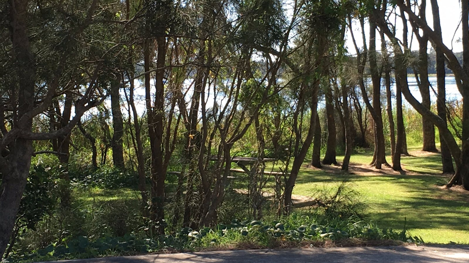 Tuggerah Lakes Cycleway