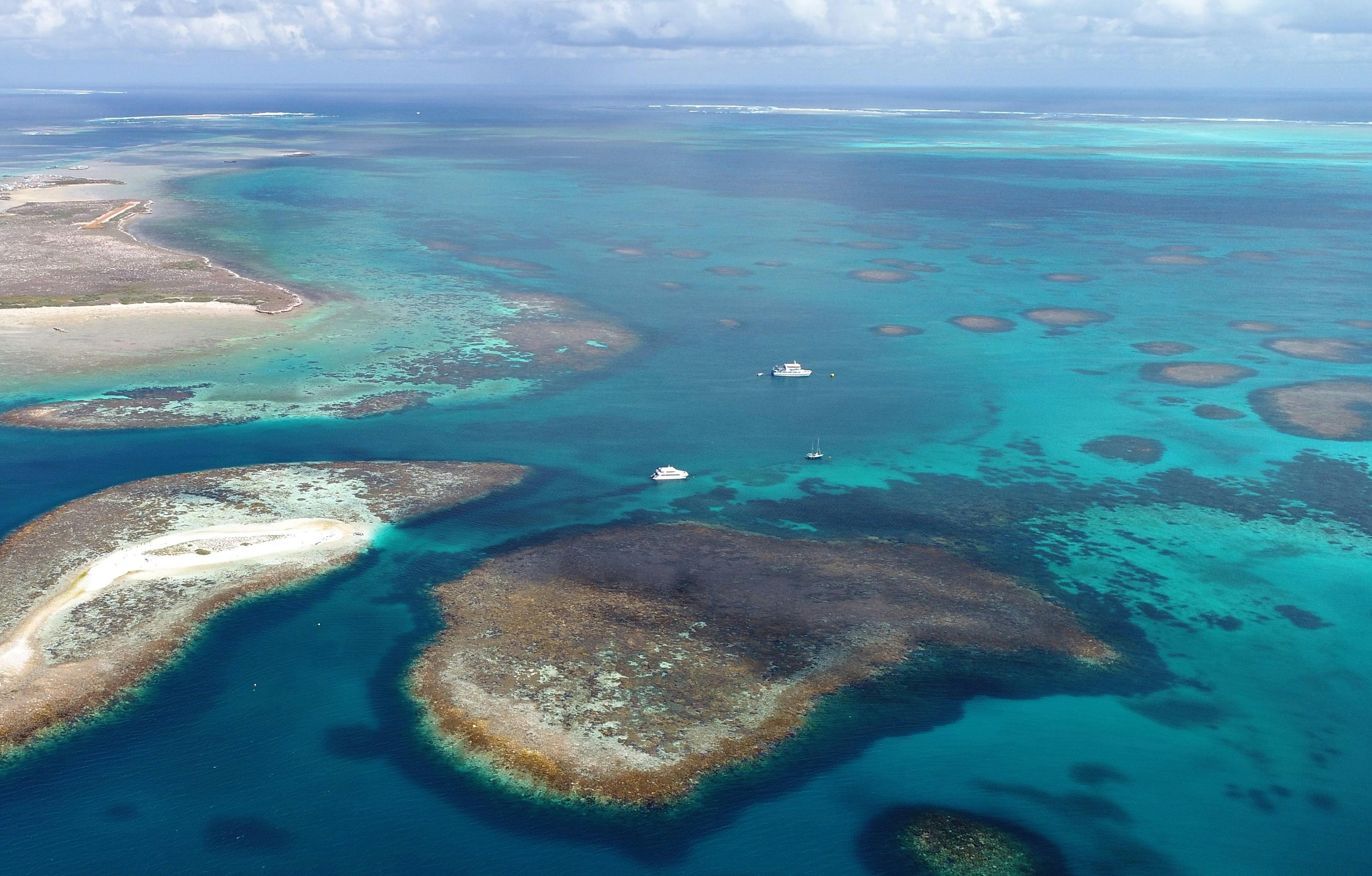 Abrolhos