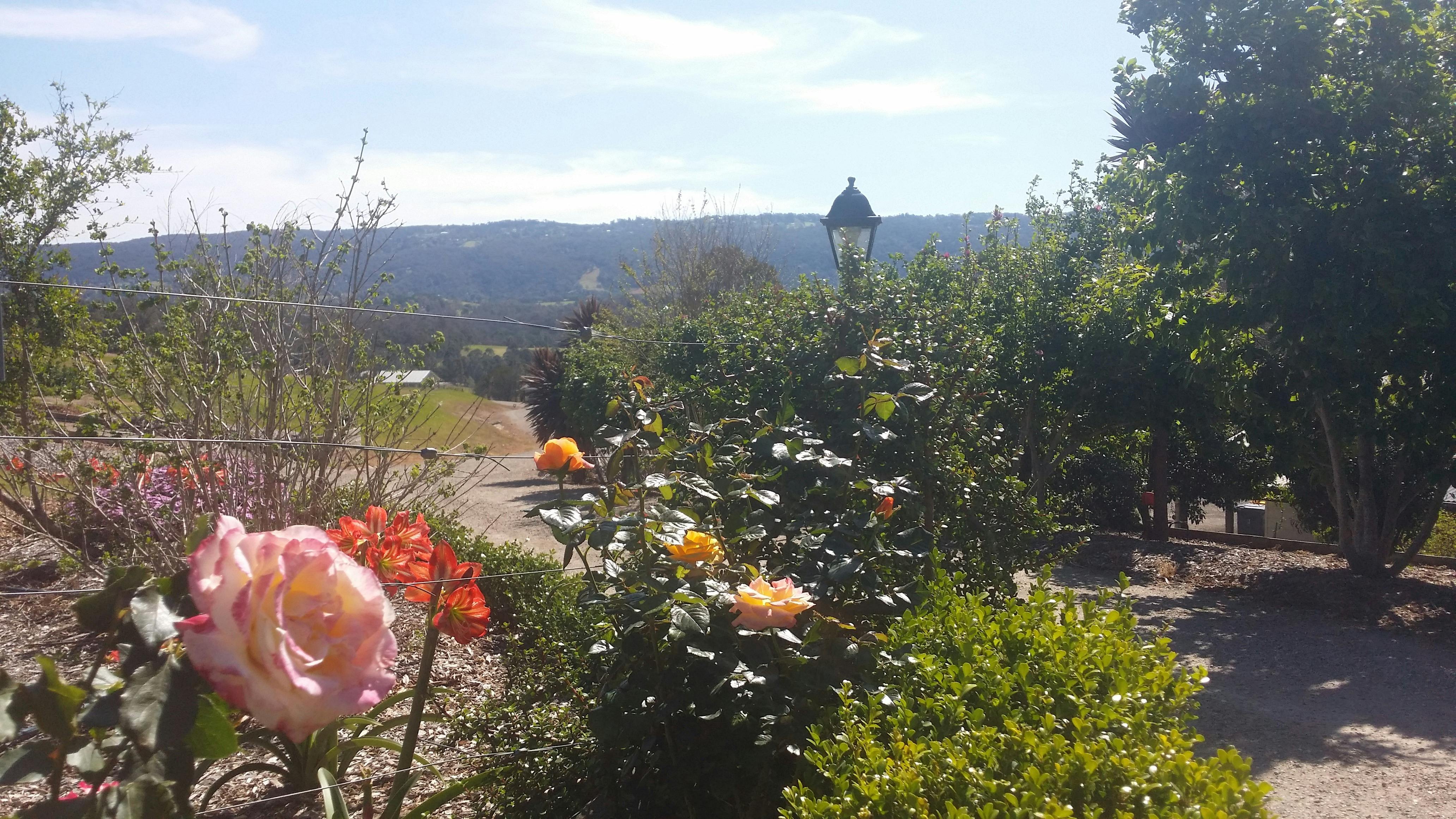 Rose garden entrance