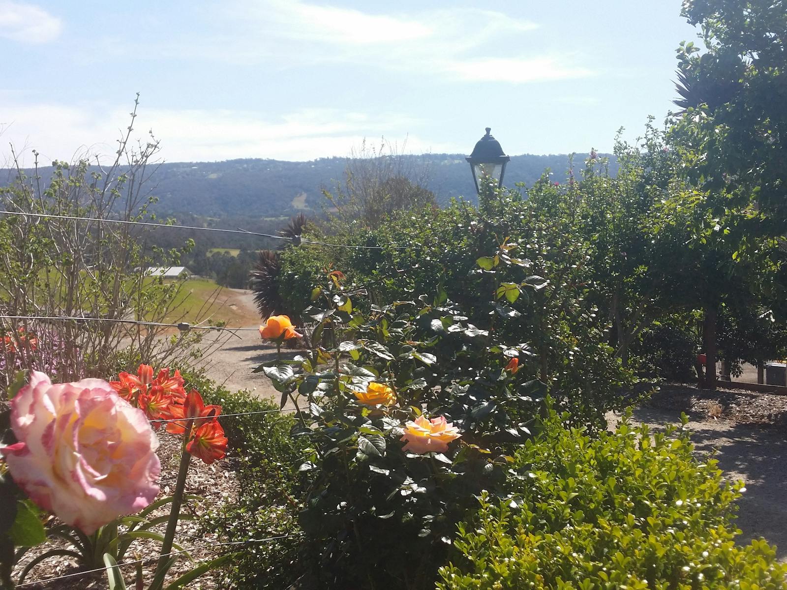 Rose garden entrance