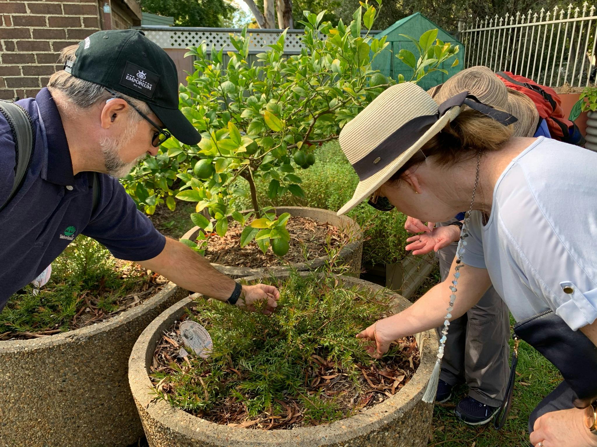 2 guests picking native berries
