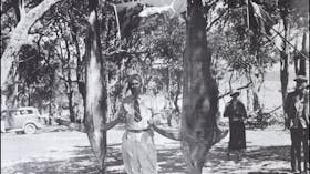 Bermagui Heritage Trail