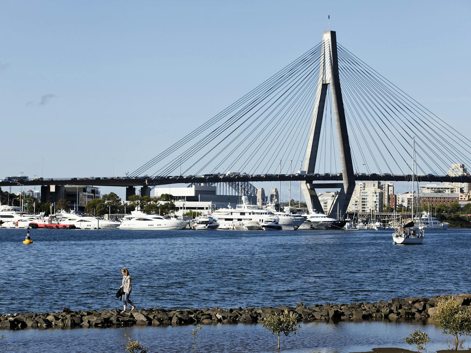 从 Blackwattle Bay 到 Glebe 澳新军团大桥的景色