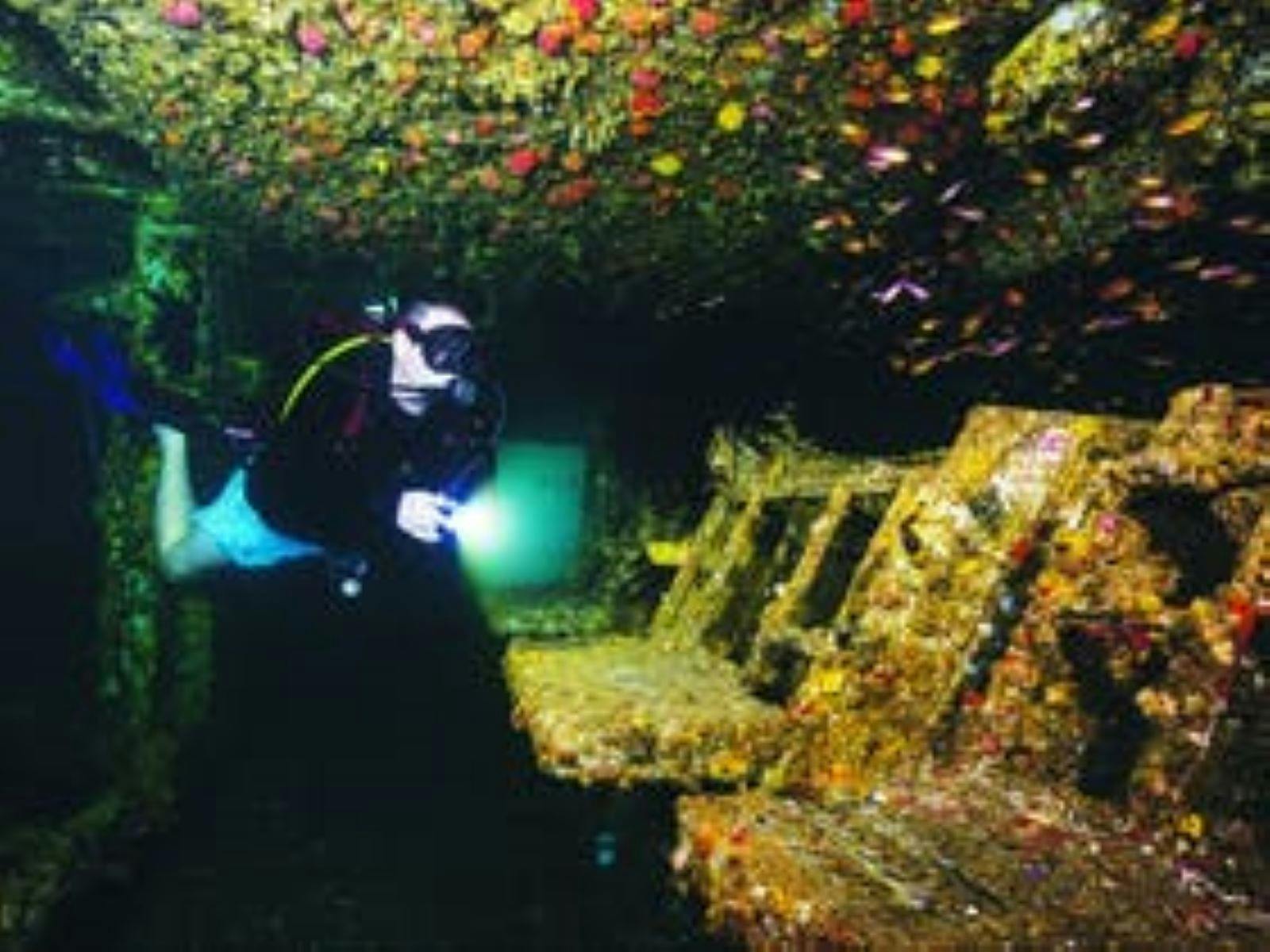 Sunreef's Dan Hart exploring the HMAS Brisbane wreck