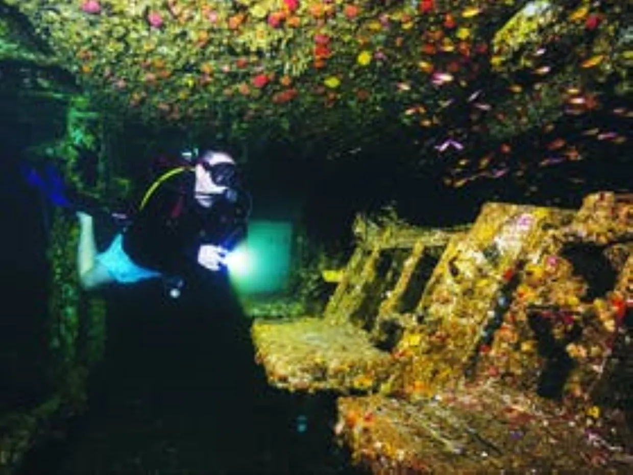 Wreck Dive on the HMAS Brisbane