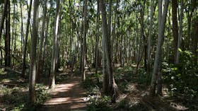 Holmes Jungle Nature Park