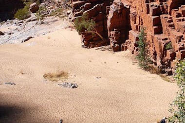 Larapinta Trail Highlights - 5 Day - Group-Guided
