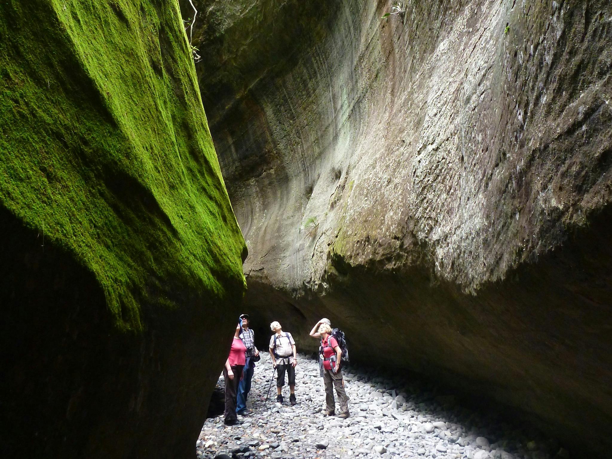 walkers exploring Carnarvon Gorge