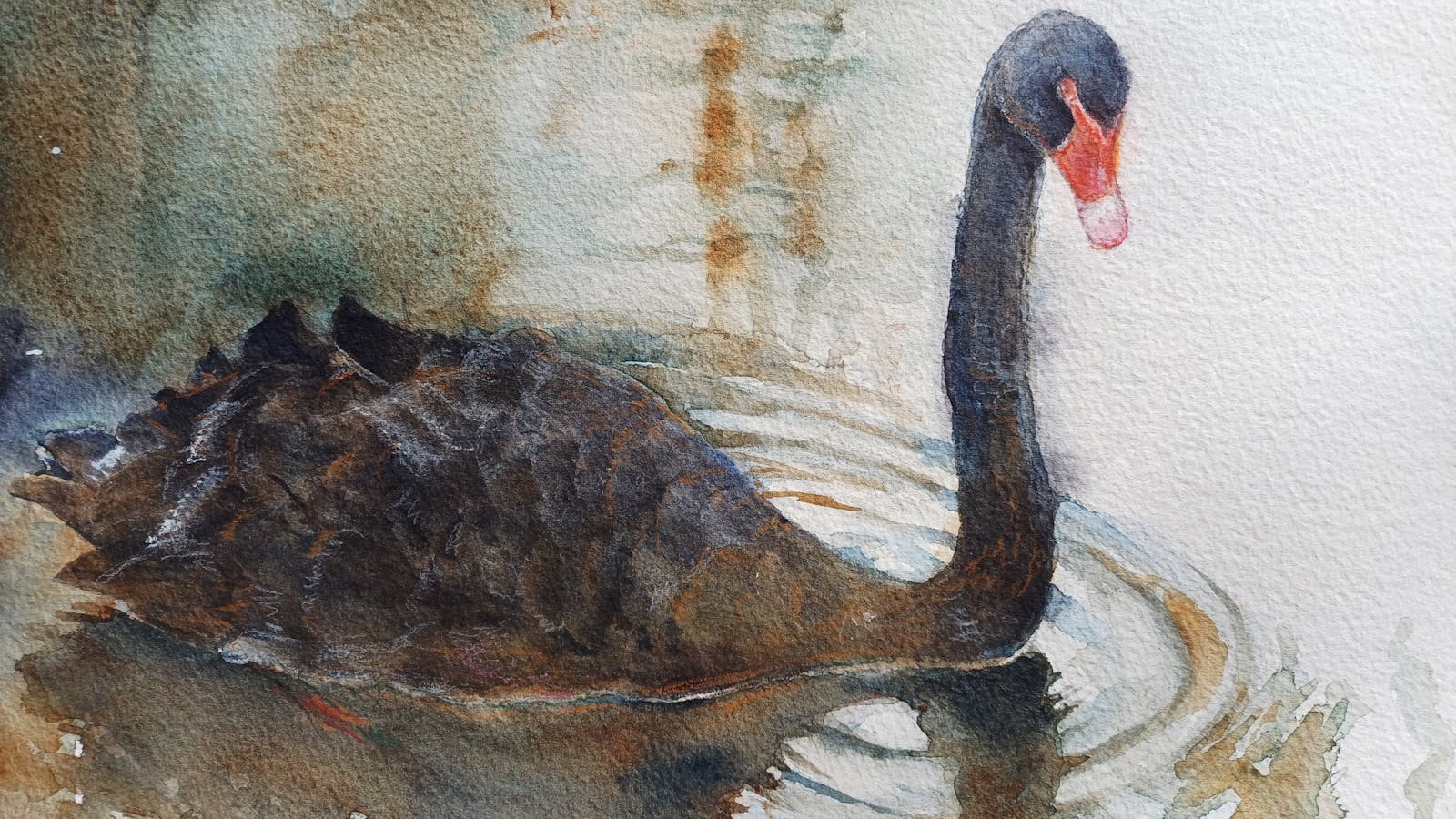 Image for Three Swans – Watercolours of the Coastlands Exhibition