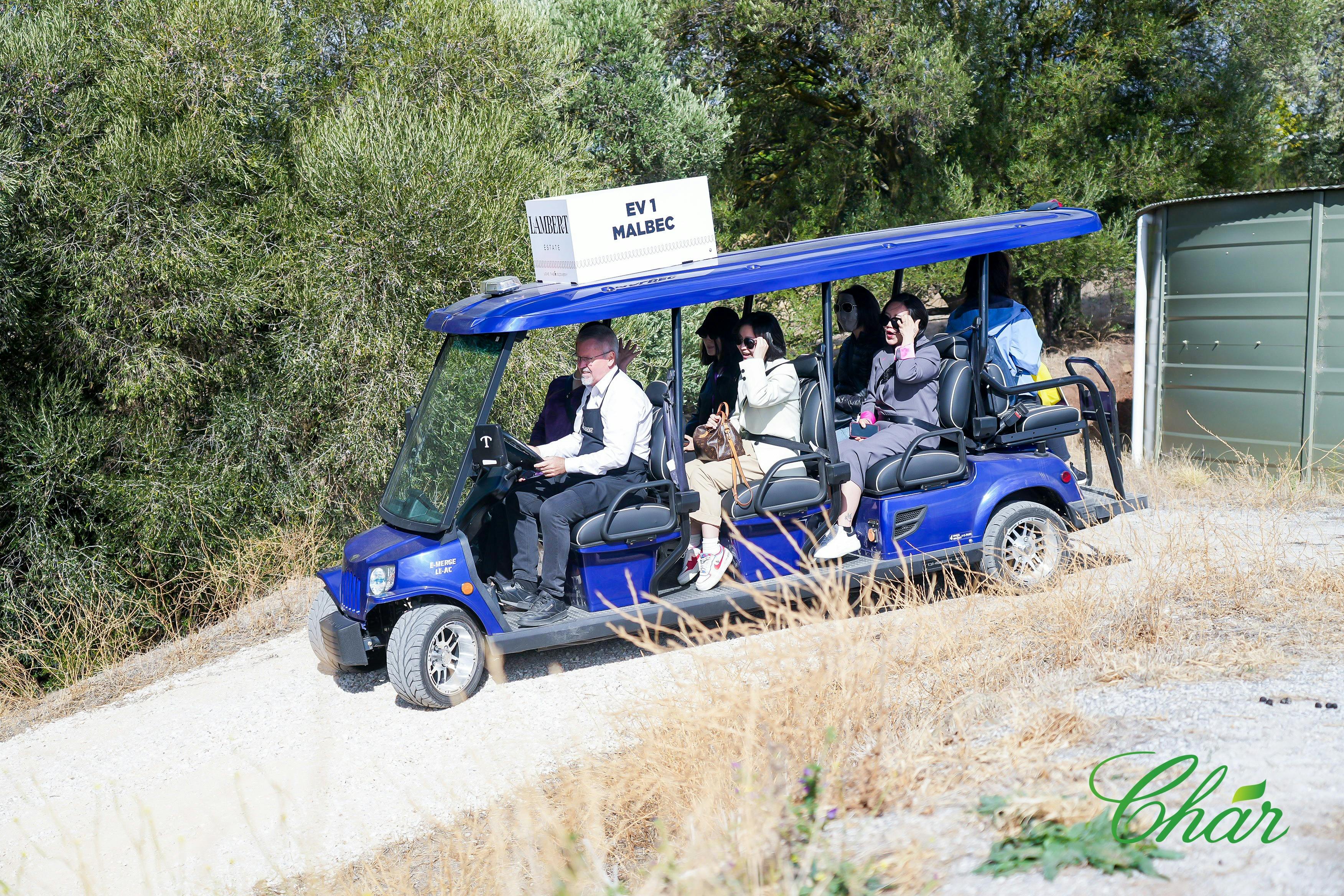 EcoVine Explorer - vineyard e-cart tours