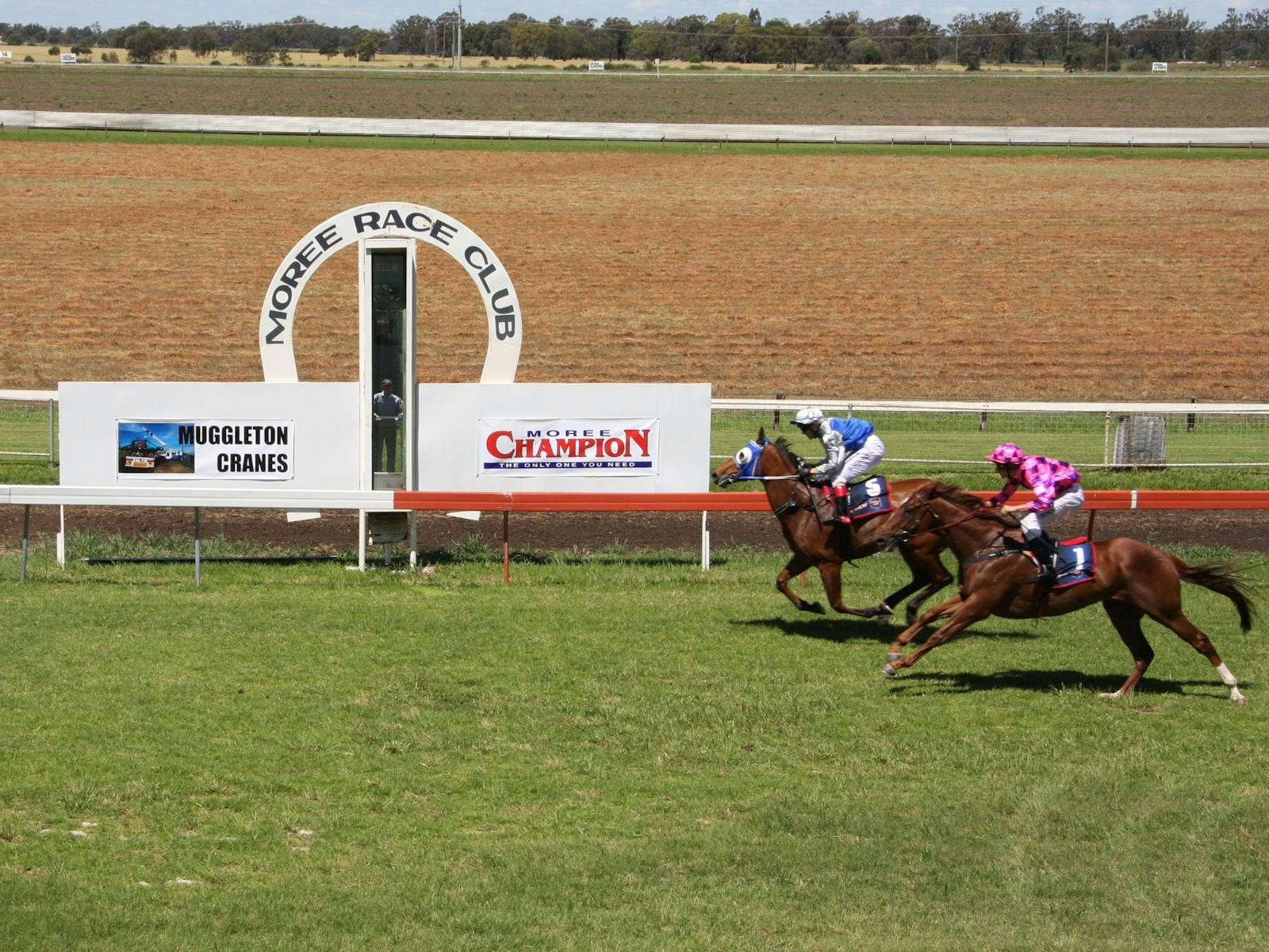 Image for Westpac Chopper Cup Charity Dinner and Pacific National Moree Cup: Race Day