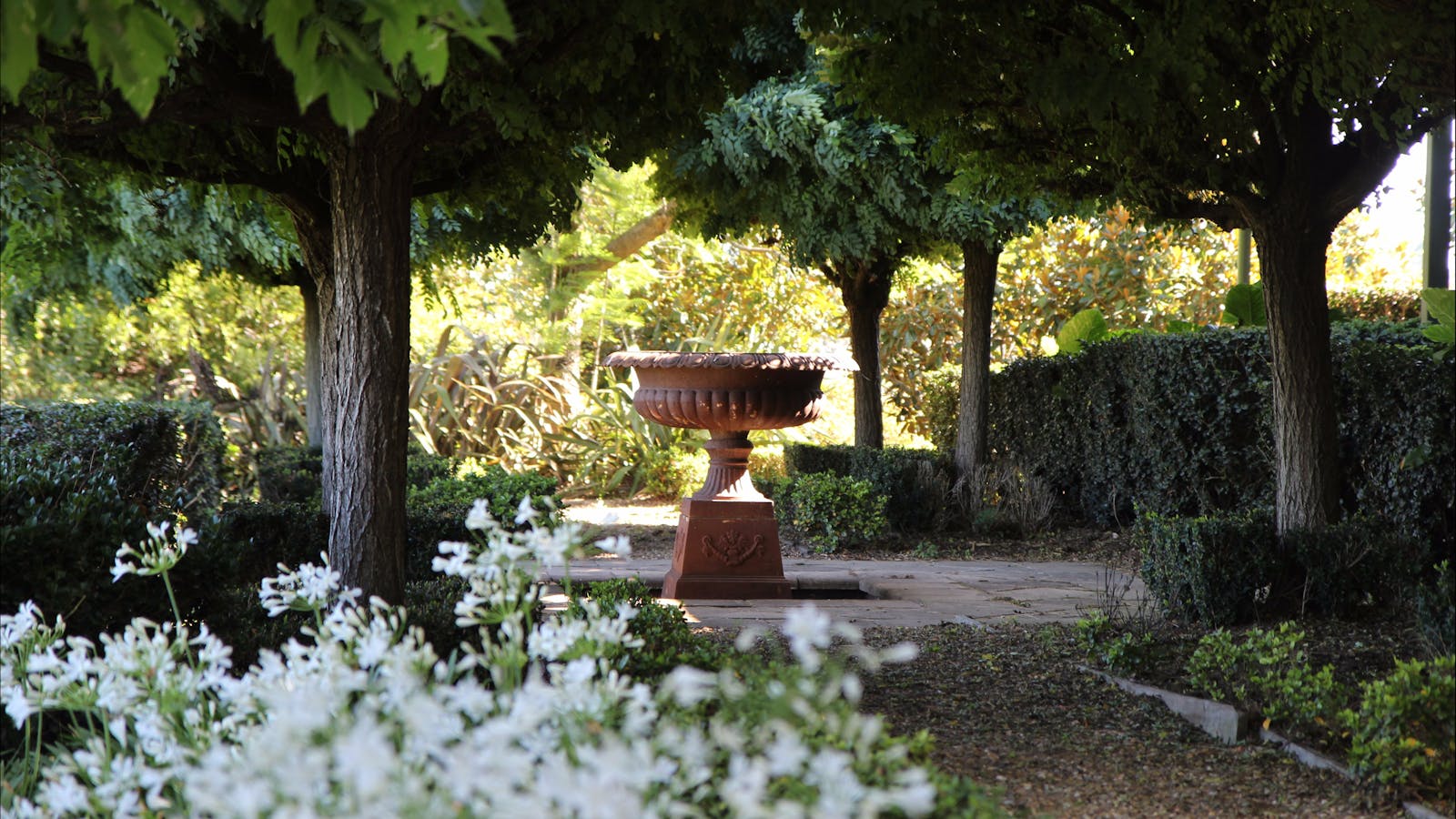 One of the many beautiful gardens at Belvoir Pavilions Guest House, near Berry
