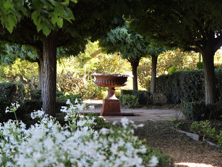 View of the fountain and tree lined walkway at Belvoir Pavilions Guest House near Berry