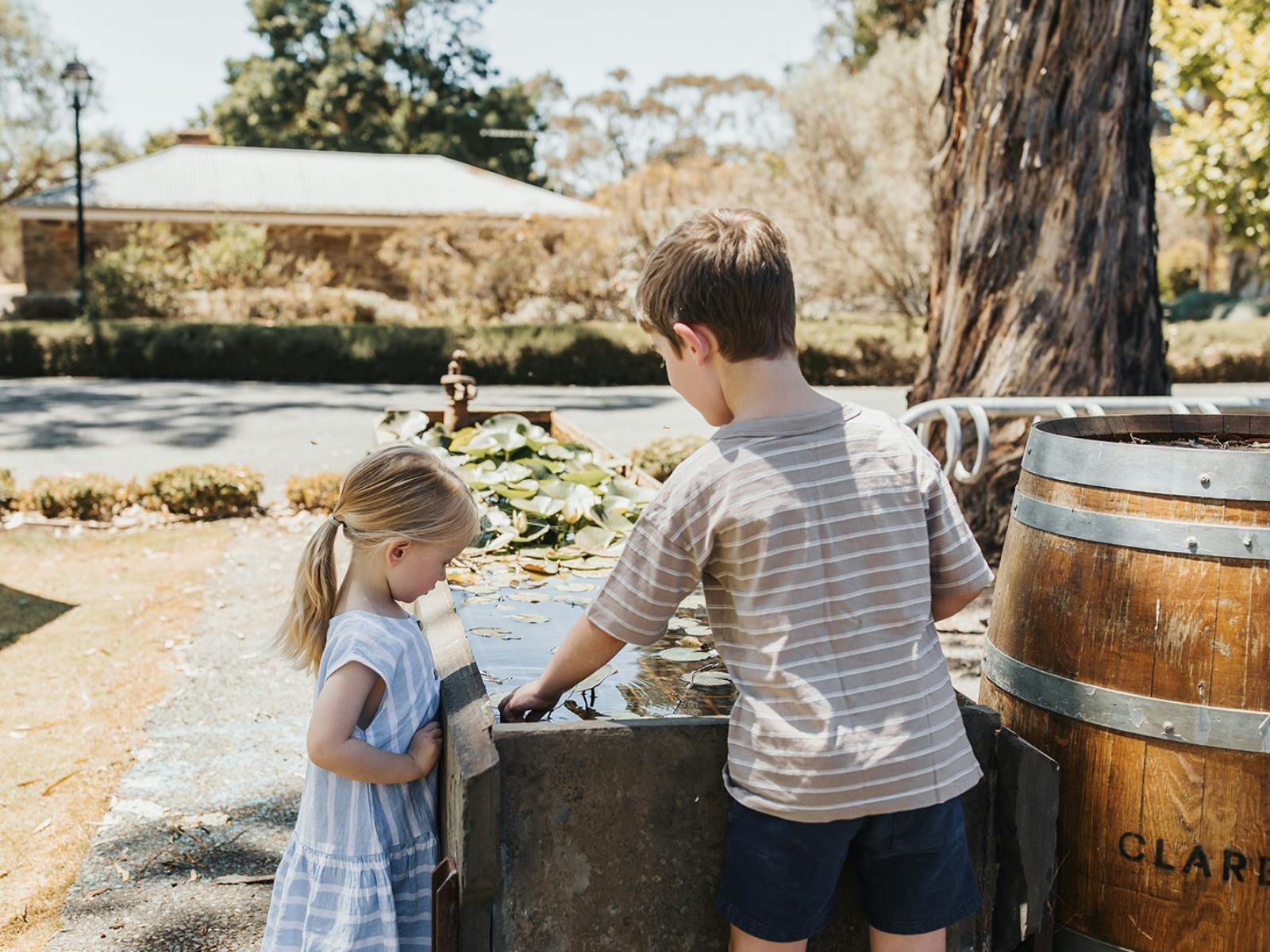 Pikes Beer Co. Brewery and Beer Garden Clare Valley