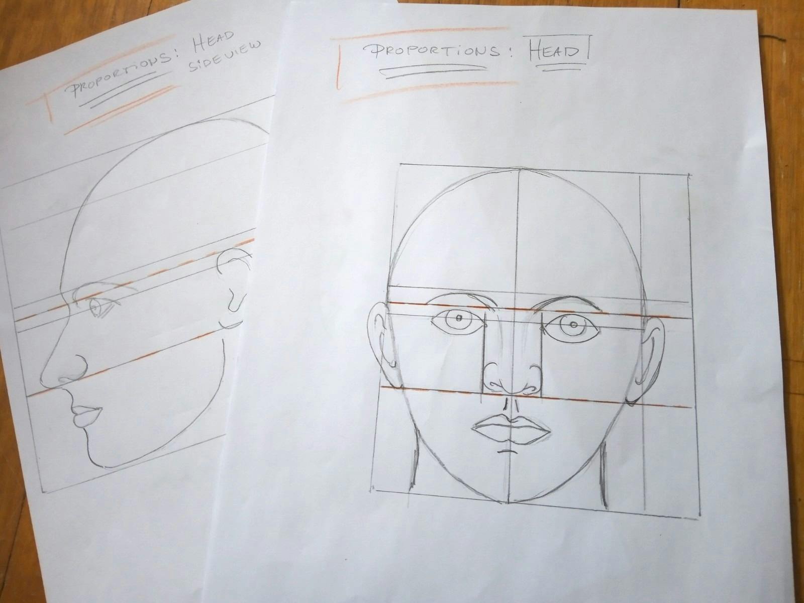 Scribble Cat Studios - Portrait Drawing for Beginners