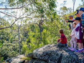 Bomaderry Creek Bushwalk Bomaderry Creek Bushwalk