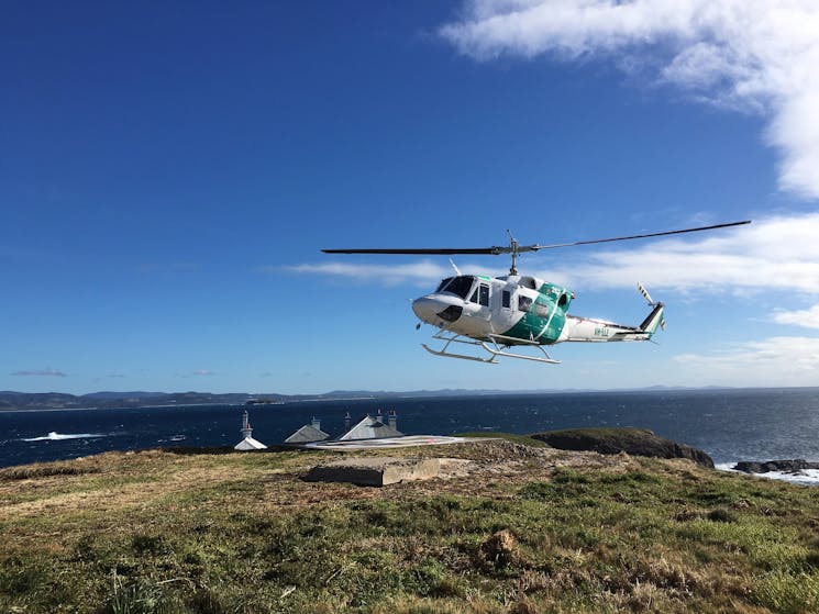 Arrive by helicopter to South Solitary Island