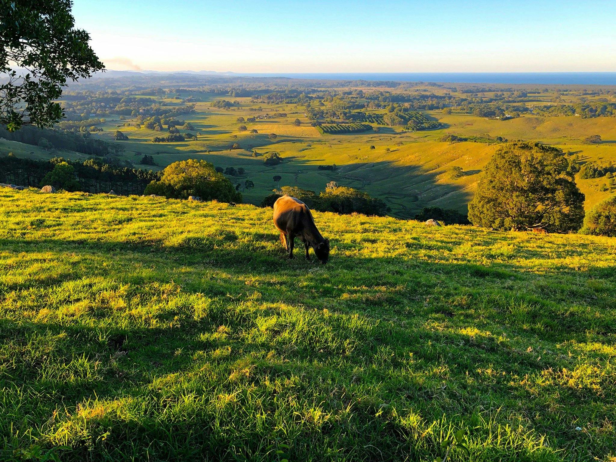 St. Helena Lookout near Bangalow