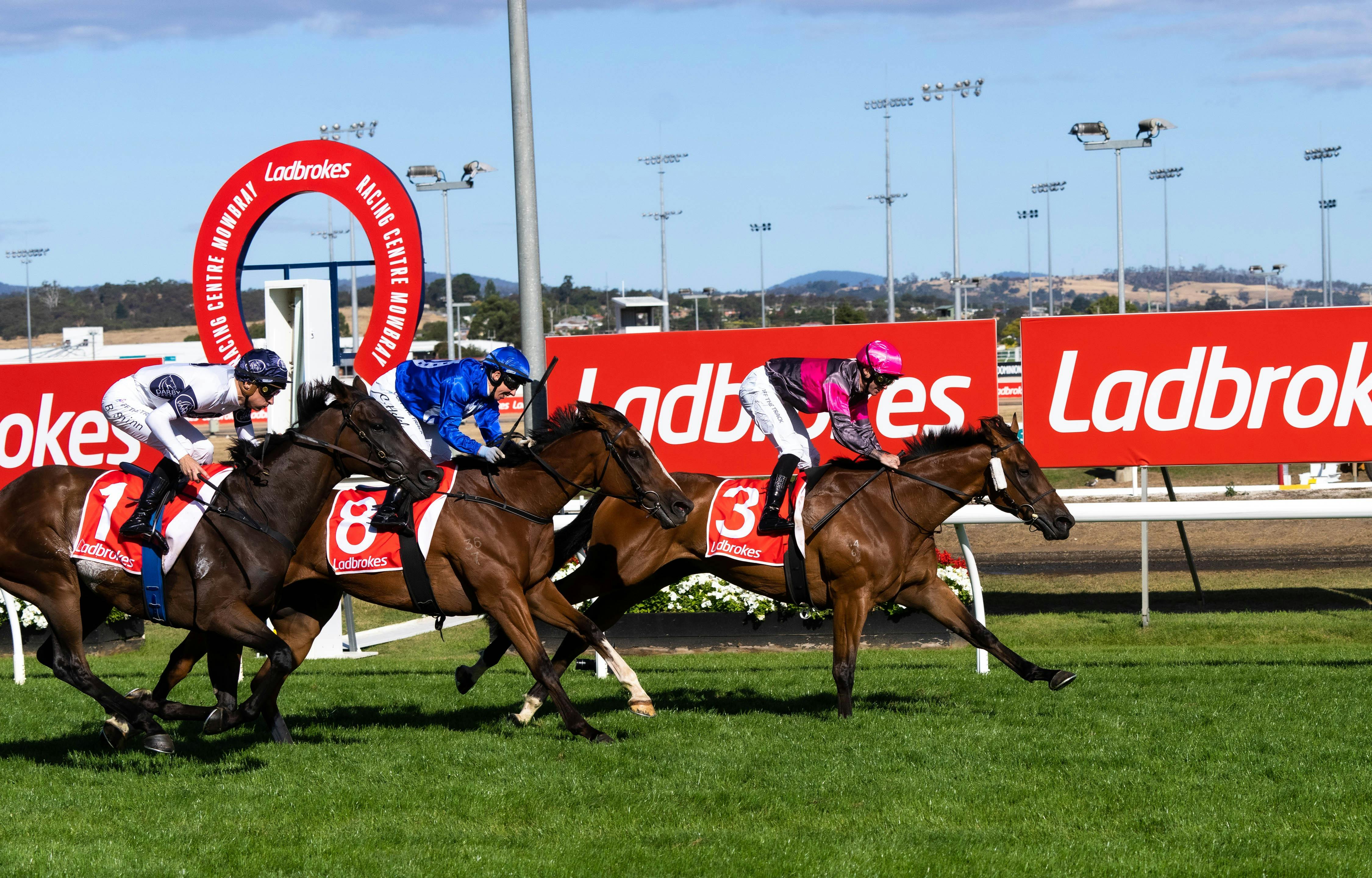 Kevin Sharkie Tasmanian Oaks