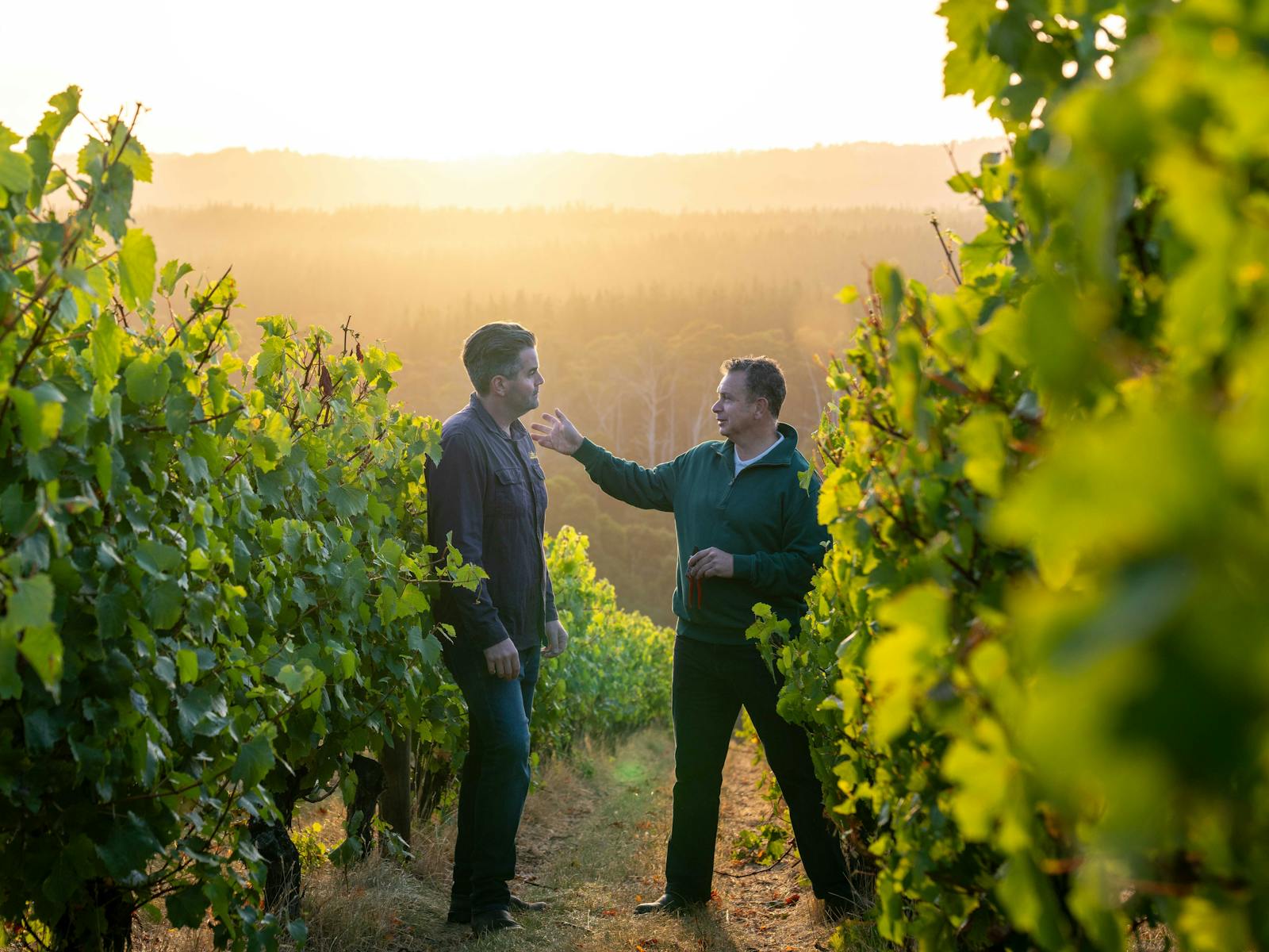 A winemaker and viticulturist stand among grape vines passionately engaged in discussion