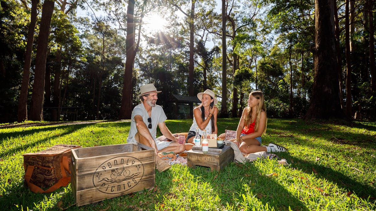 Picnic