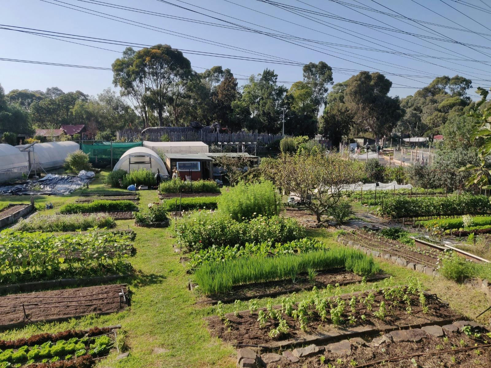 Make a day of it and explore the whole CERES park including urban farms, playgrounds, cafes and more