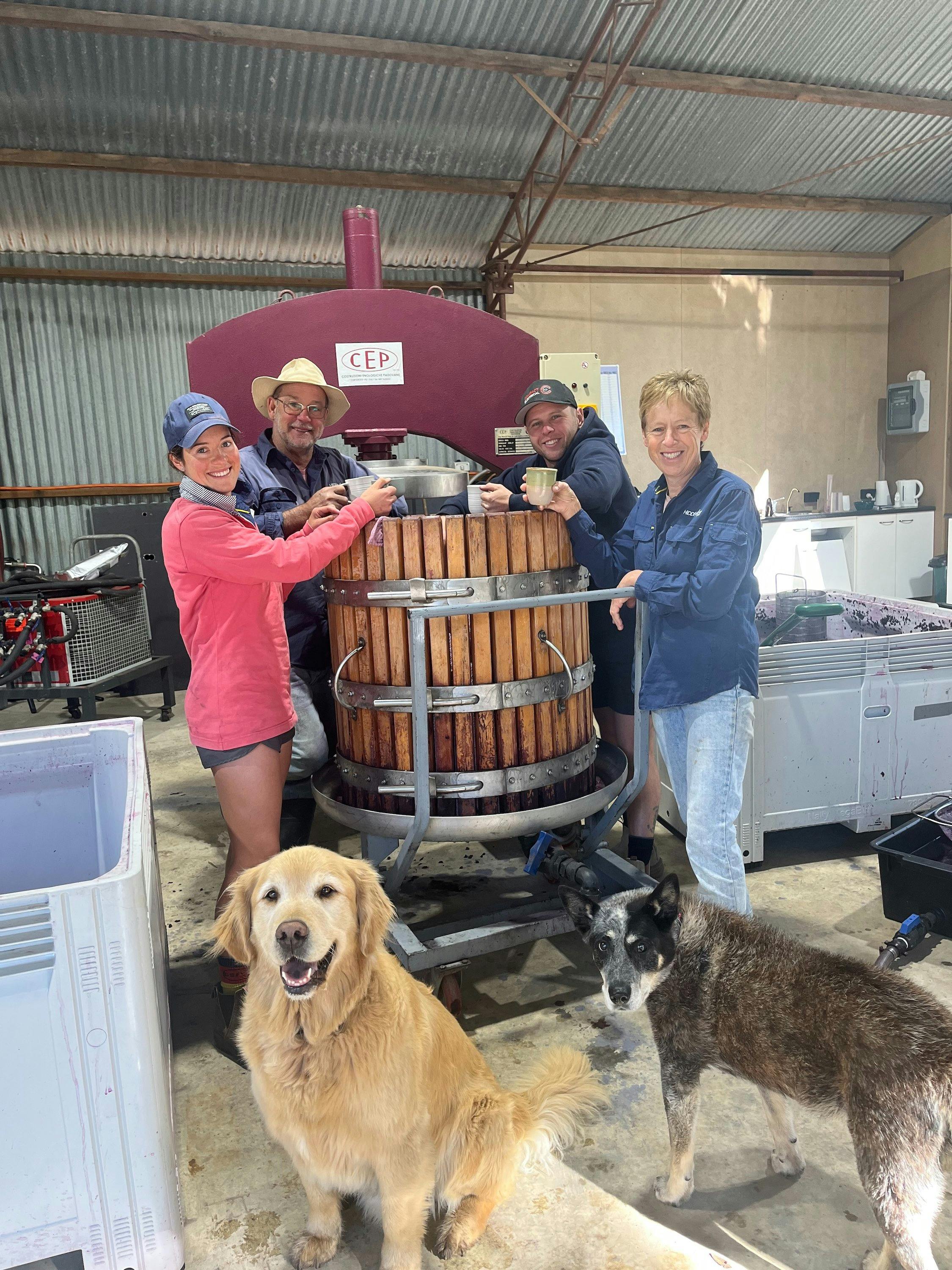 SummerVines:  Winery Experience