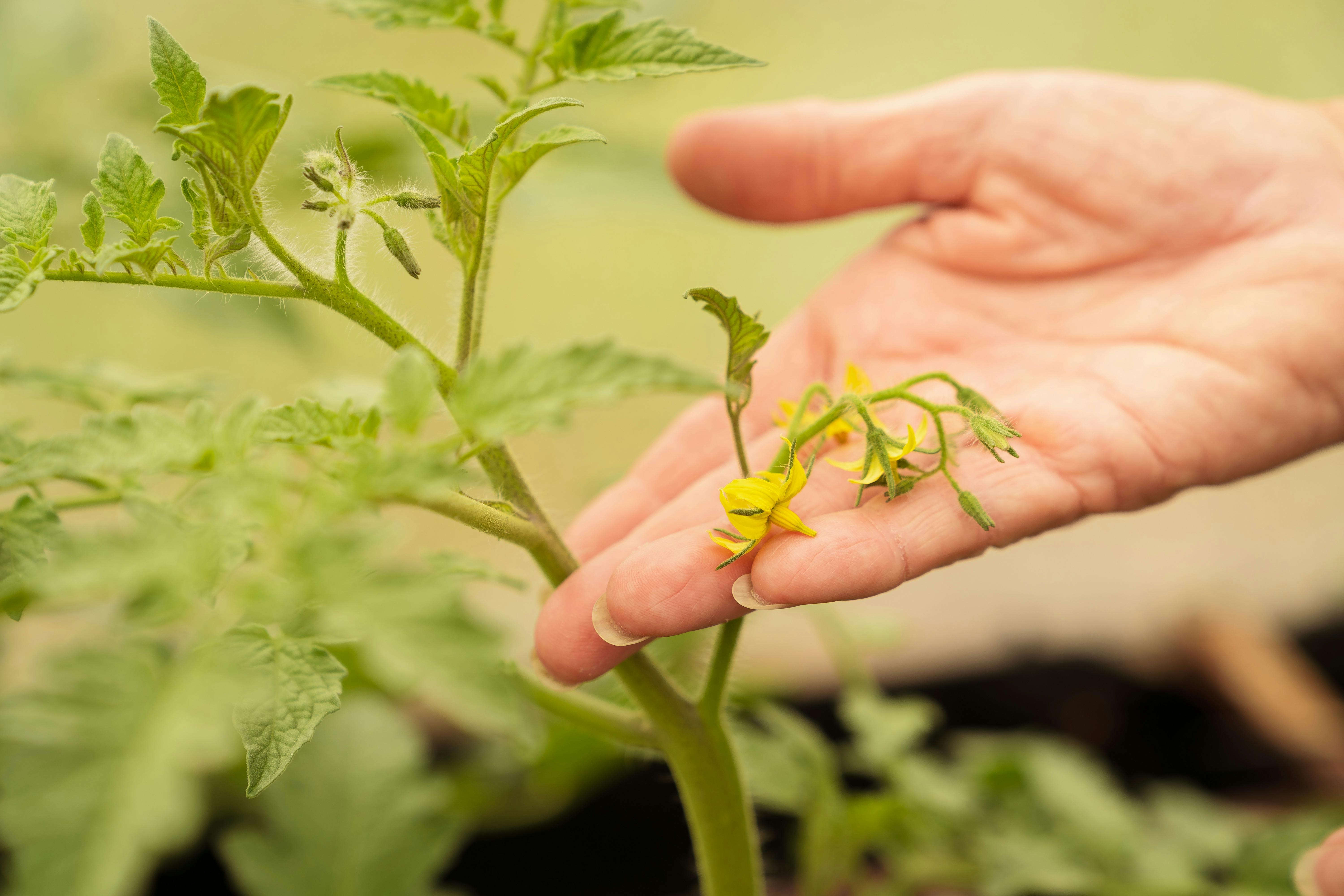 Taste Capricorn Coast