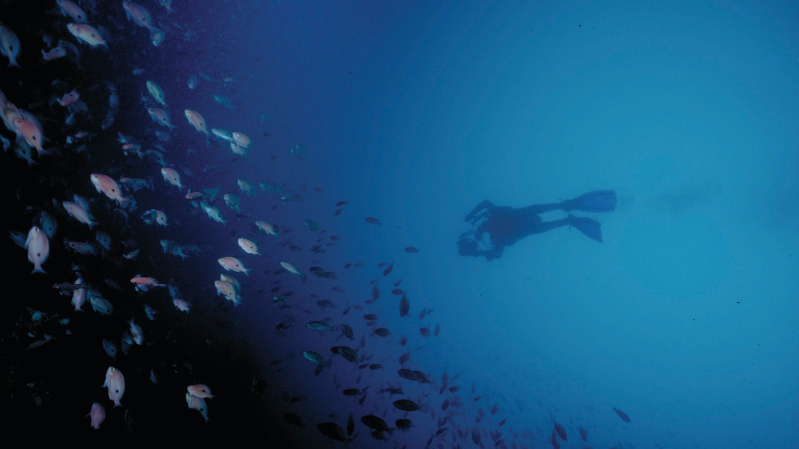 Wilsons Promontory Marine National Park