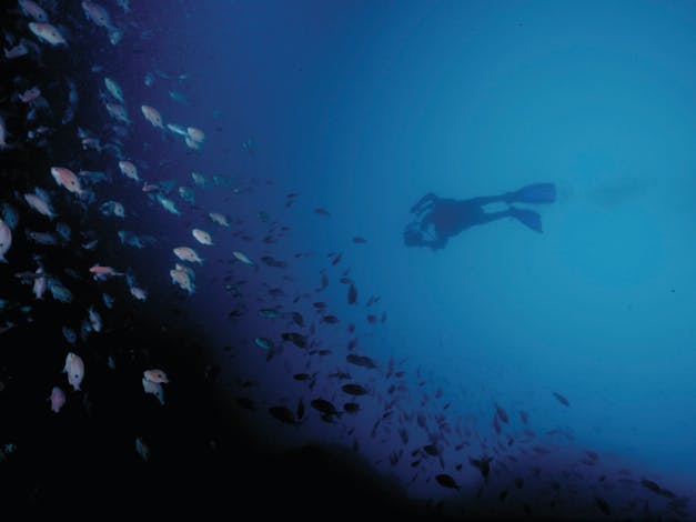 Wilsons Promontory Marine National Park