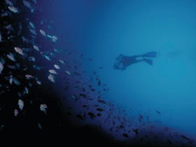Wilsons Promontory Marine National Park