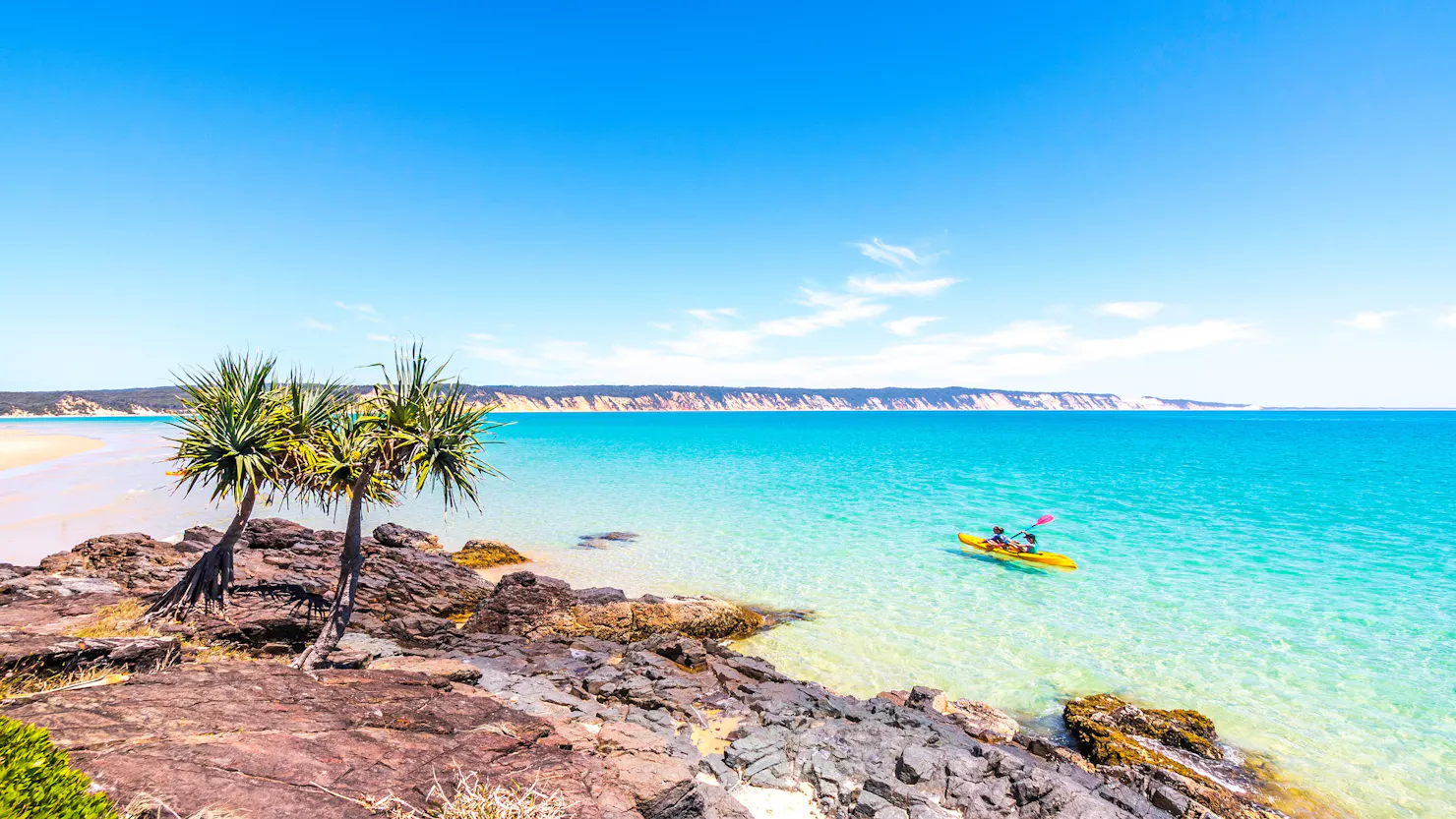 Dolphin tours guided kayak tour Noosa