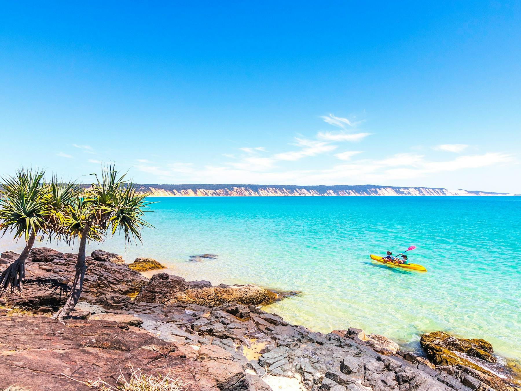 Dolphin tours guided kayak tour Noosa