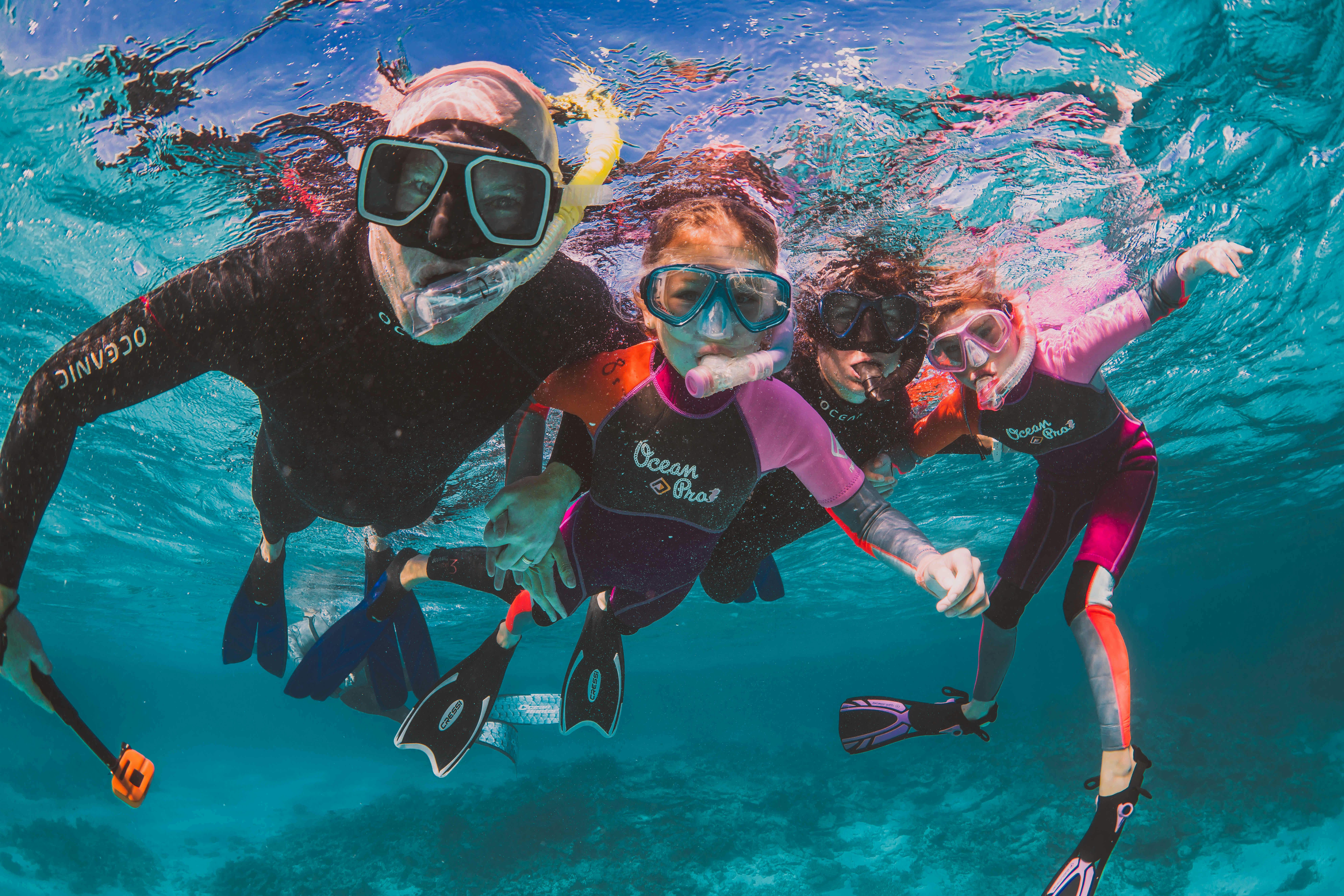 A family of snorkellers