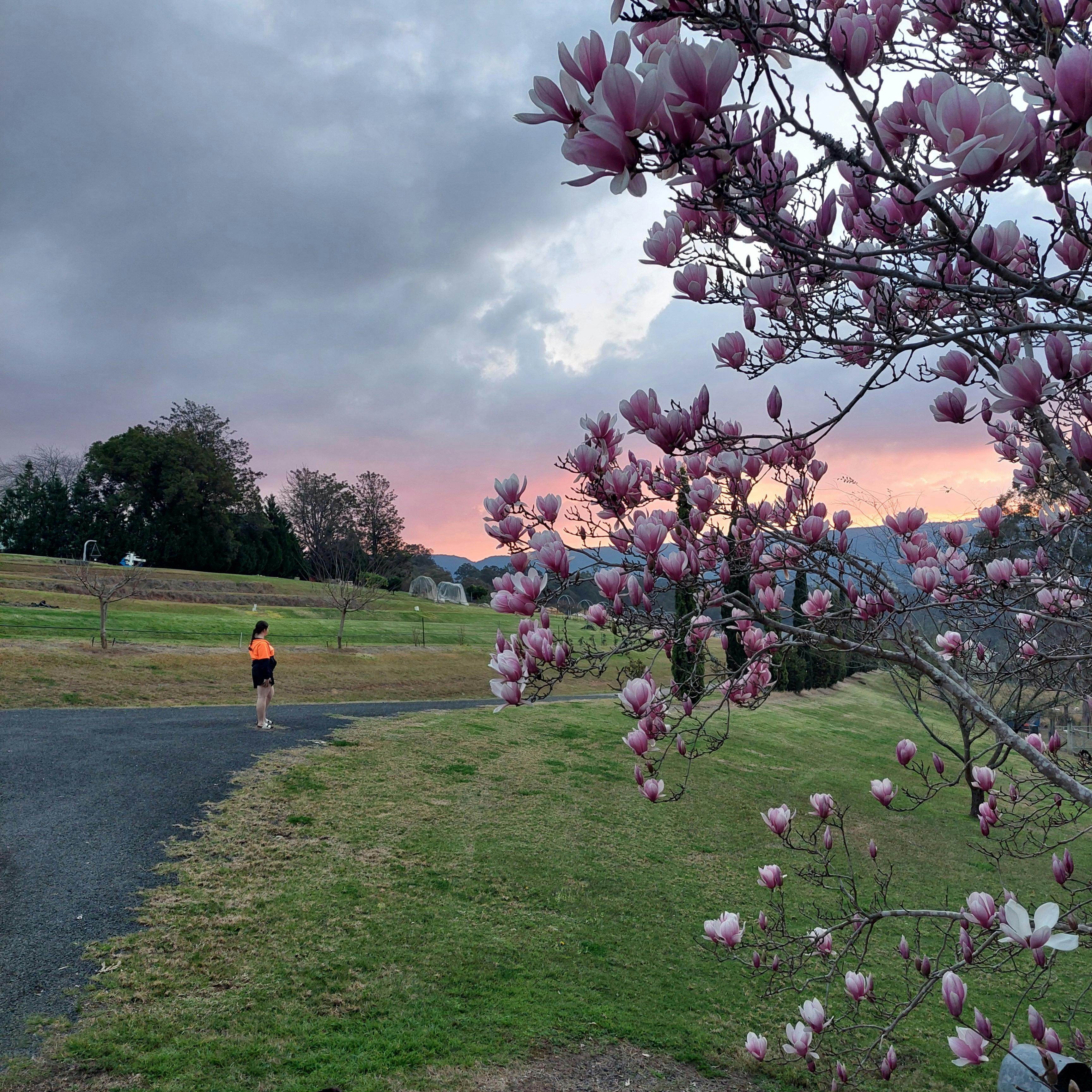 Everyone enjoys a walk in fresh country air