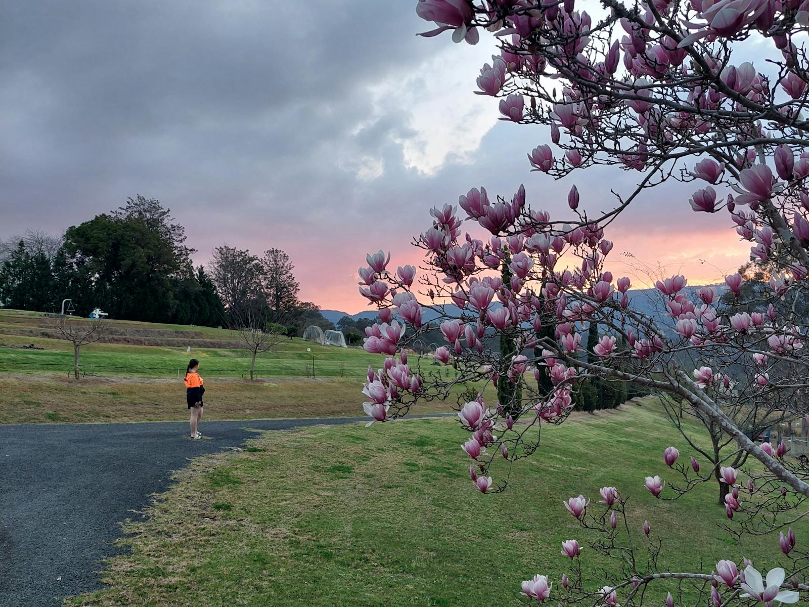 Everyone enjoys a walk in fresh country air