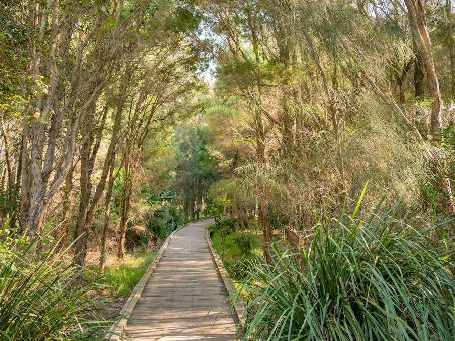 Pathway Spring Creek Kiama