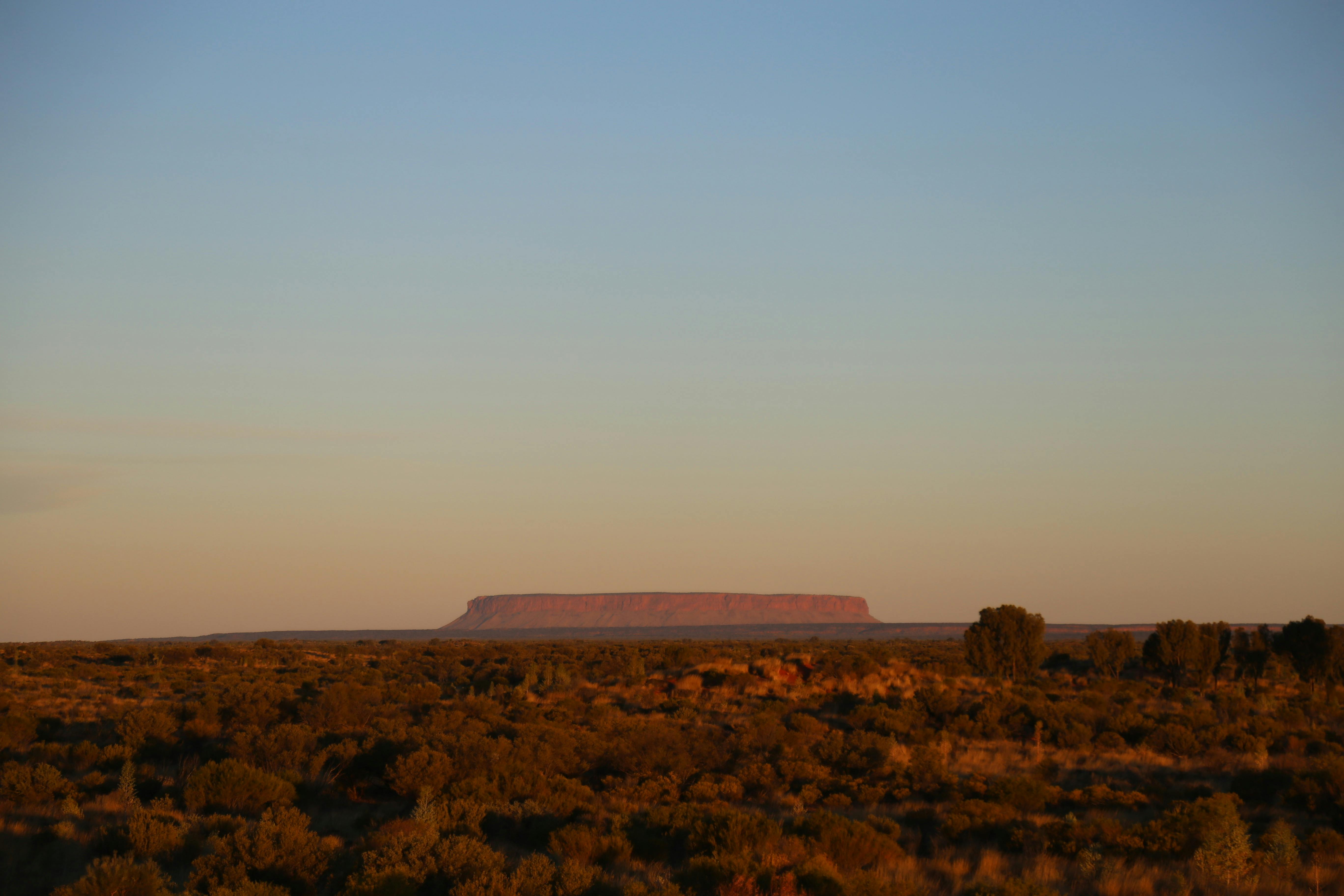 Mt Conner from Bushcamp