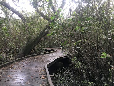 Carole Green Walkway - John Oxley Reserve
