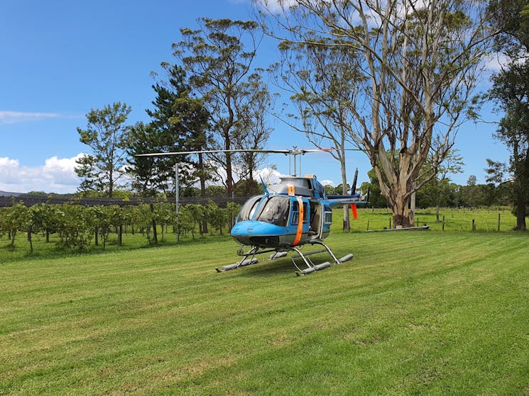 Helicopter landed at a vineyard with blue sky and green grass