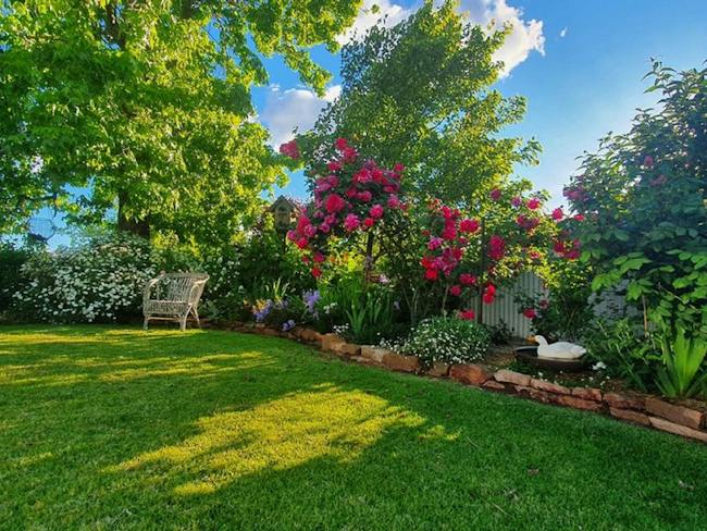 A garden on a sunny day with a variety of flowers and bushes, and a duck resting among them