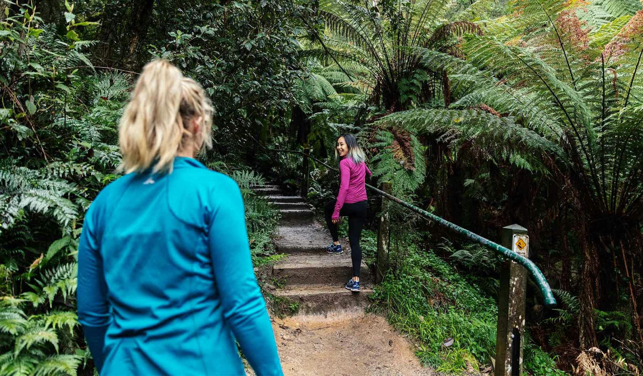 Kokoda Memorial Walk (1000 Steps)