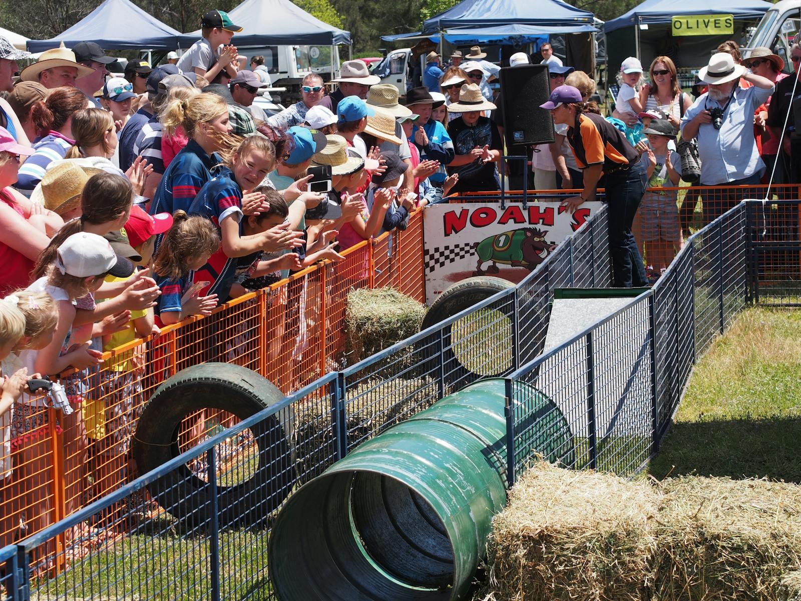 Image for Ashford Salami Festival