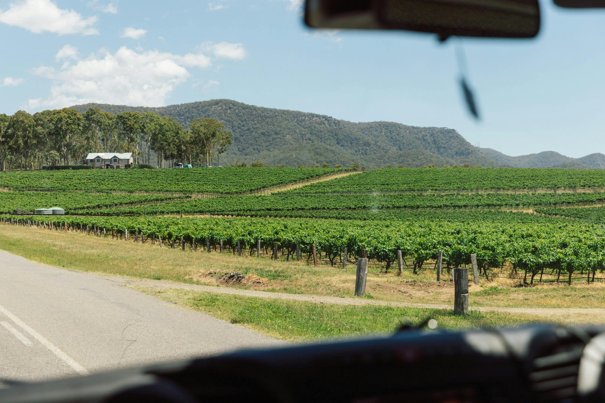 View of vineyards and mountains from the vehicle in The Hunter Valley