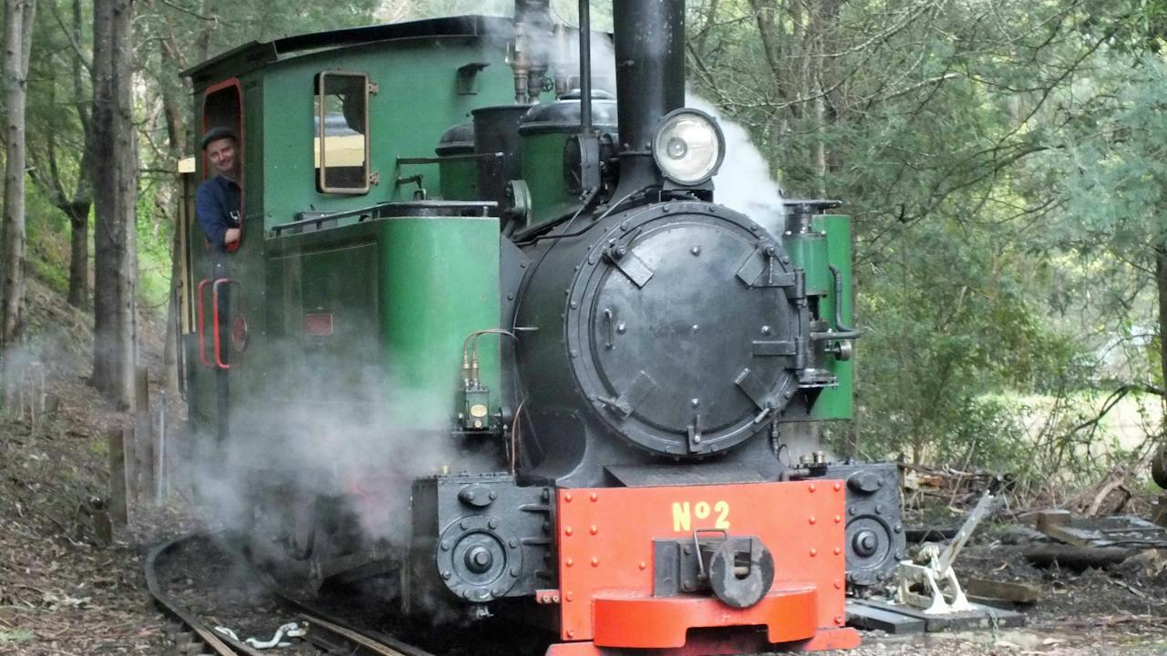 Count Strzelecki Steam Train