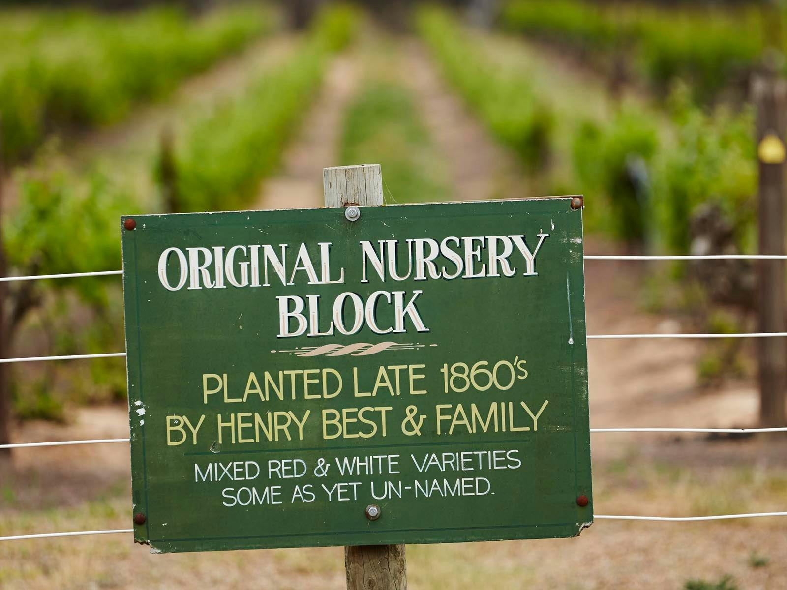 Best's Wines Nursery Block