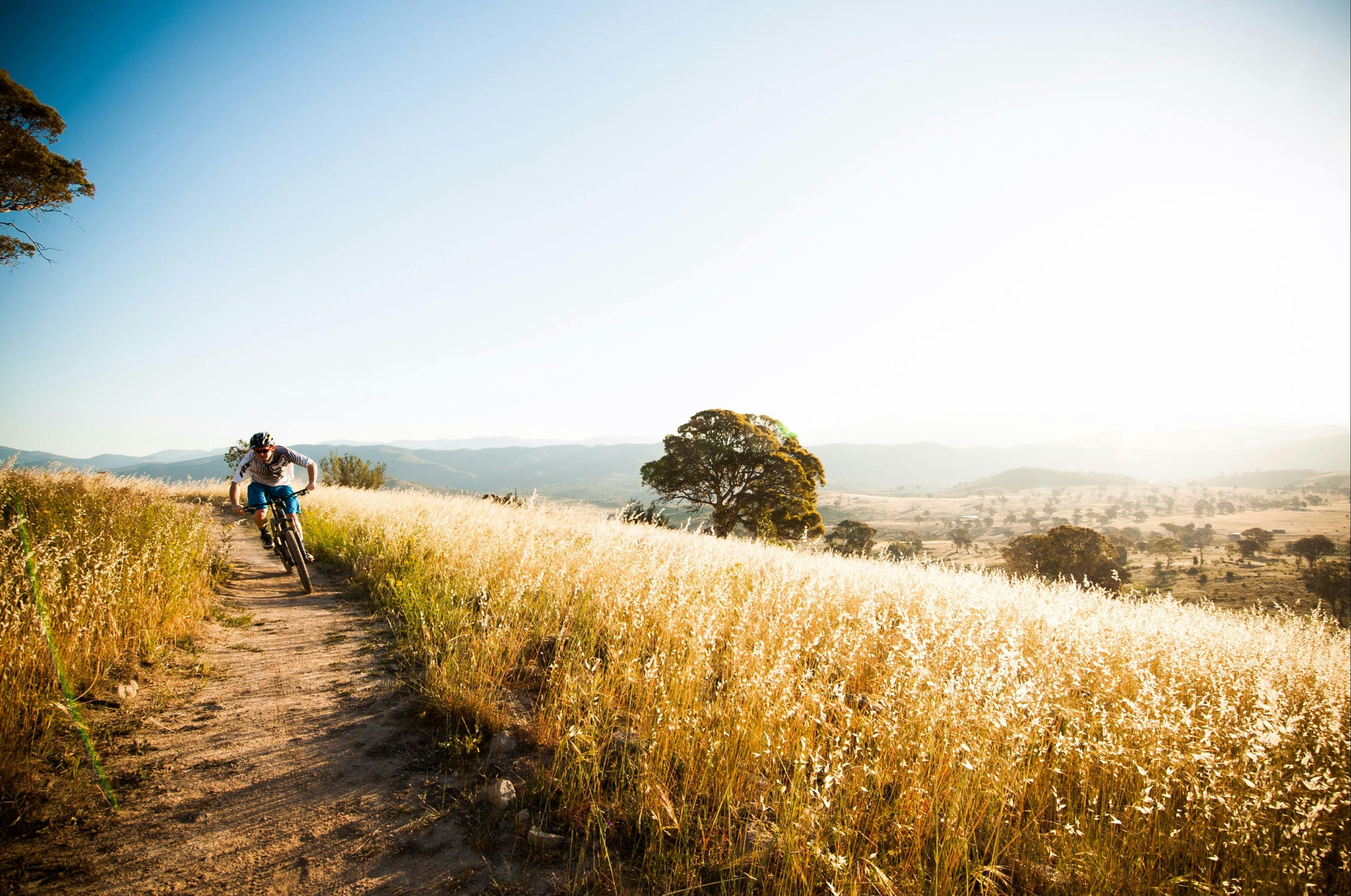 Lone cyclist in the wide open spaces