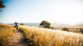 Lone cyclist in the wide open spaces