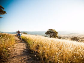 Canberra Centenary Trail