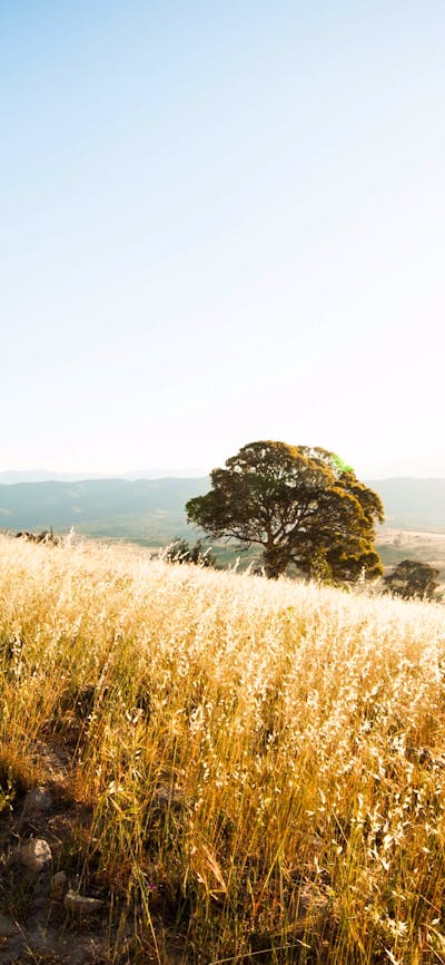 Lone cyclist in the wide open spaces